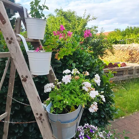 Flussperle * Coswig (Anhalt)