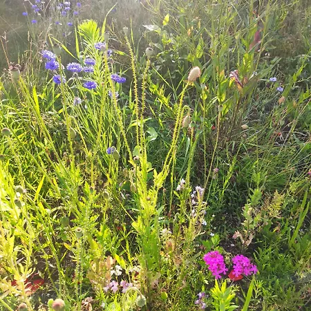 Apartamento Flussperle