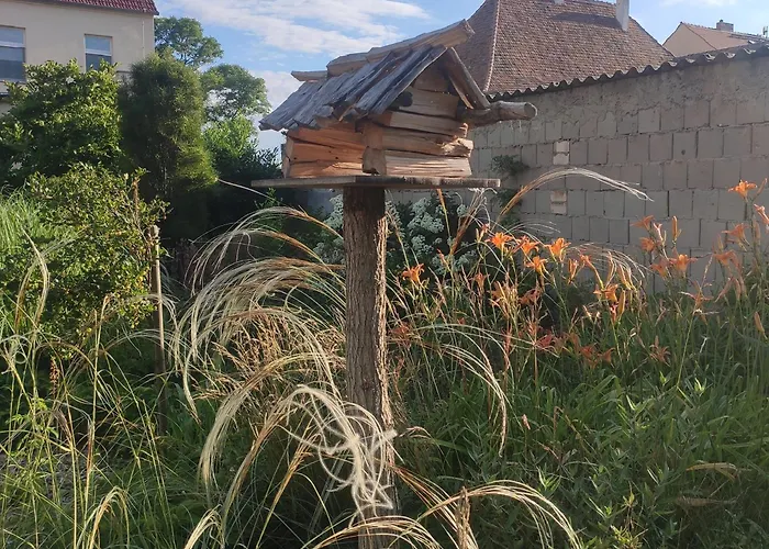 Flussperle * Coswig (Anhalt)