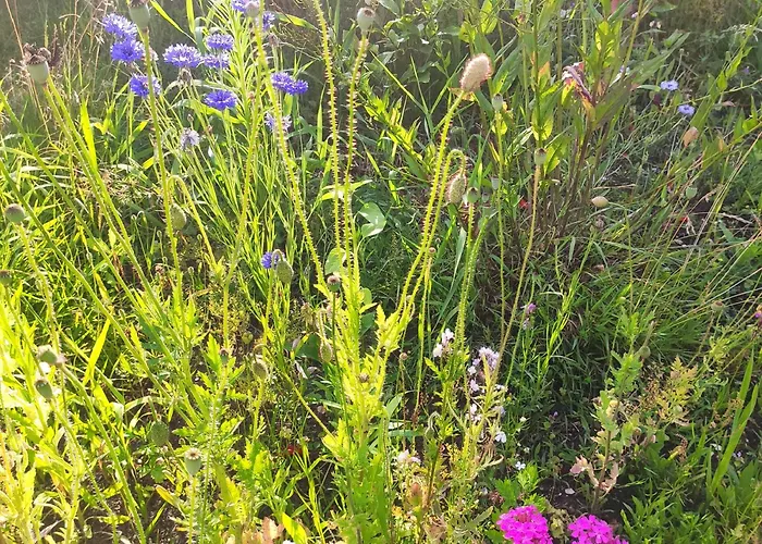 Lägenhet Flussperle